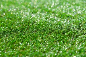 Realistic Artificial Turf - The Carpet Outlet