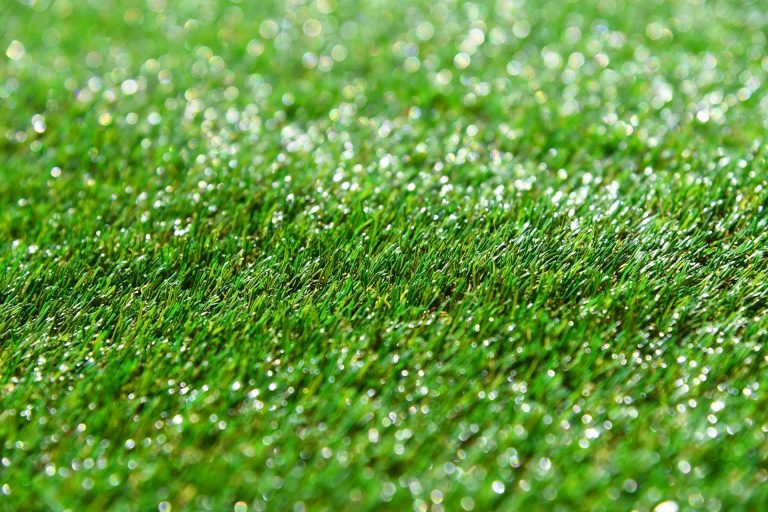Realistic Artificial Turf - The Carpet Outlet
